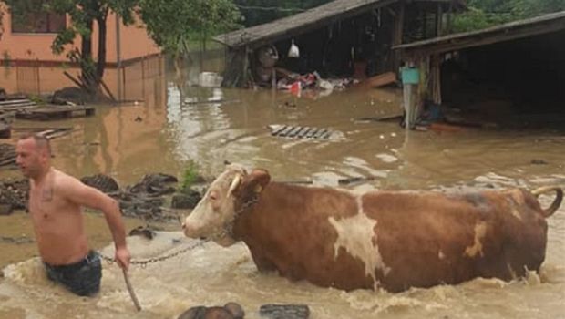 Vanredna odbrana od poplava u celoj Srbiji