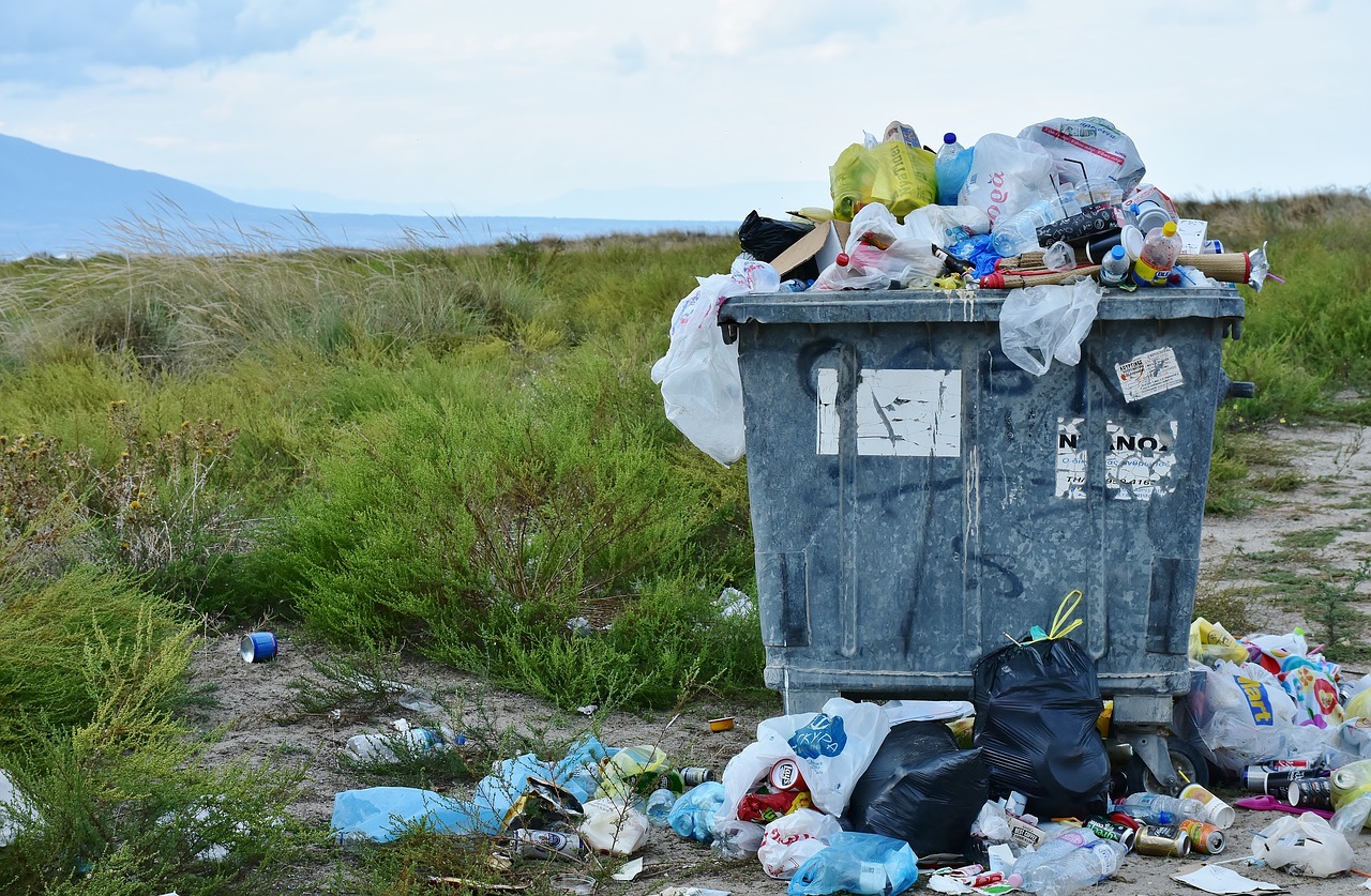 Beograd bez plastičnih kesa