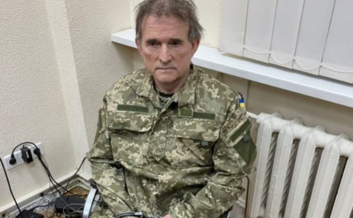 medved
