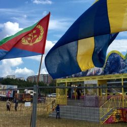Eritrejski sukob u Stokholmu – 50 povređenih