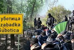 Obračuni migranata kod Subotice