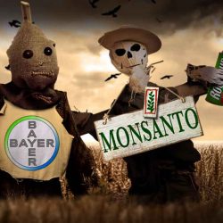 Monsanto plaća 857 miliona dolara zbog zagađivanja