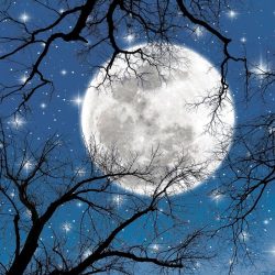 Rusija i Kina će graditi  nuklearnu  elektranu na Mesecu